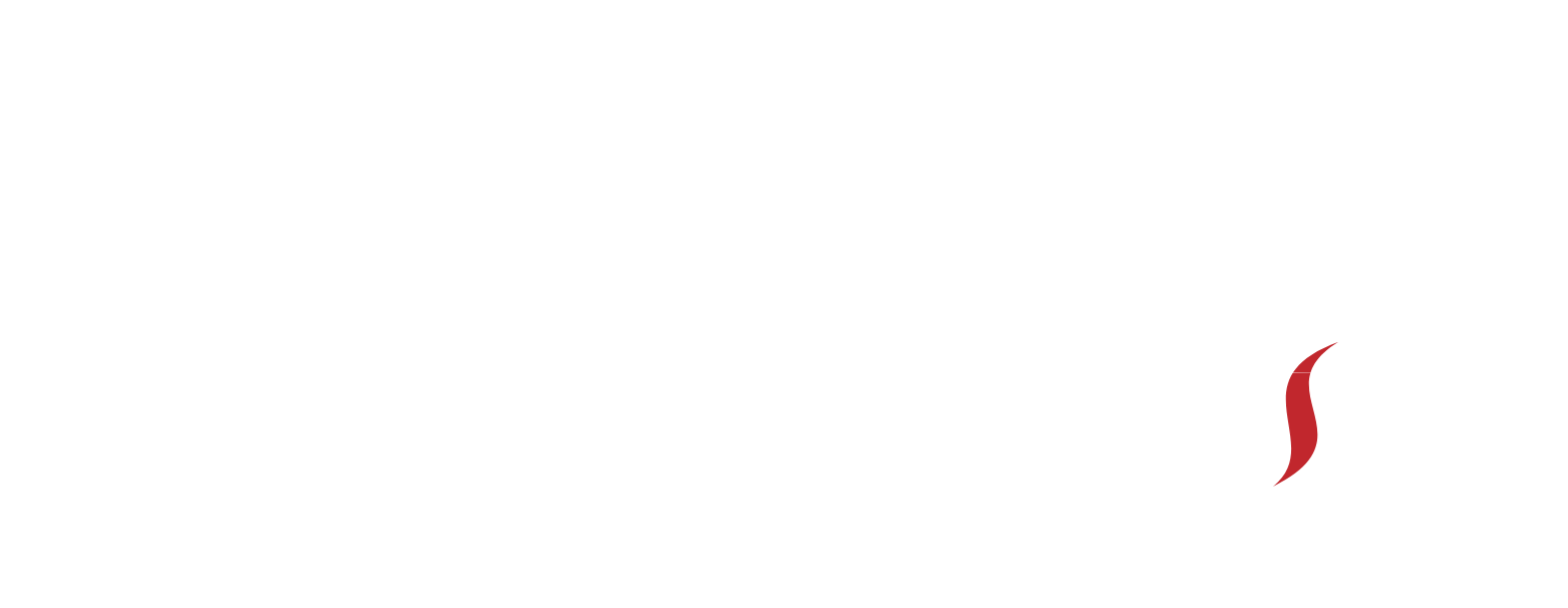 David’s Craft: Homes and Saunas Logo shows the branding of our company